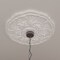 Ekena Millwork Cornelia Ceiling Medallion (Fits Canopies up to 4"), 22 1/2"OD x 1 1/2"P, Primed White CM22CN - alternate 5